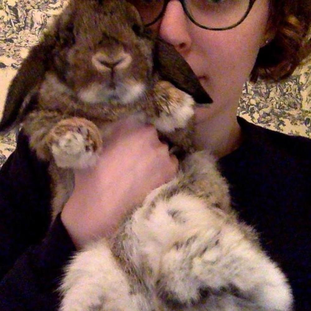 Meet your Posher, Cecilia